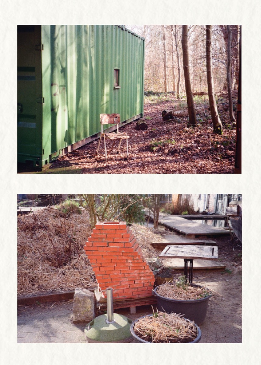 Site photographs container and garden